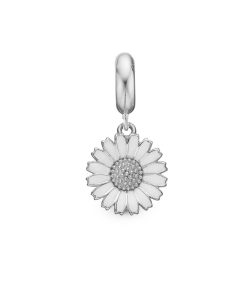 Charming Marguerite New