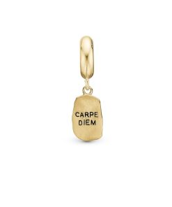 Carpe Diem Online