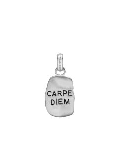 Carpe Diem Vedhaeng Best