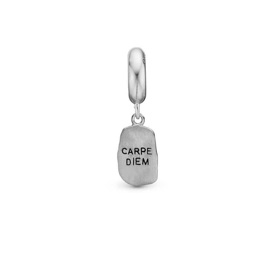 Carpe Diem Online