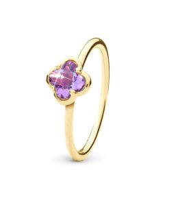 Amethyst Flower, Goldpl. Best