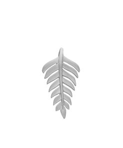 Fern Leaf New