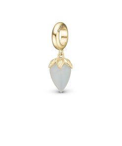 Grey Moonstone Charm Forgyldt Online