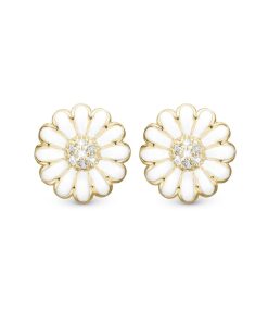 White Marguerite 18 Mm Online